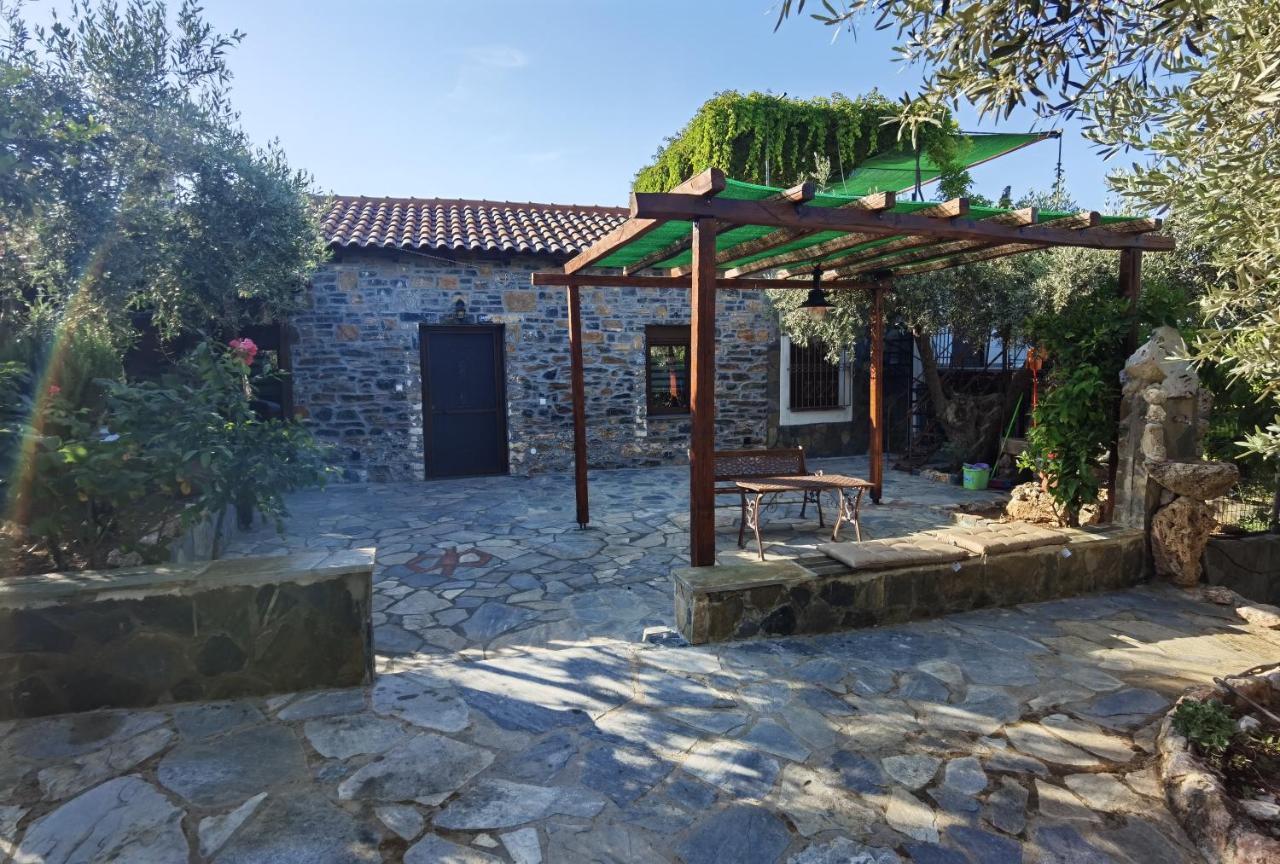 Elaion Thea-Nies Villa Sourpi Exterior photo