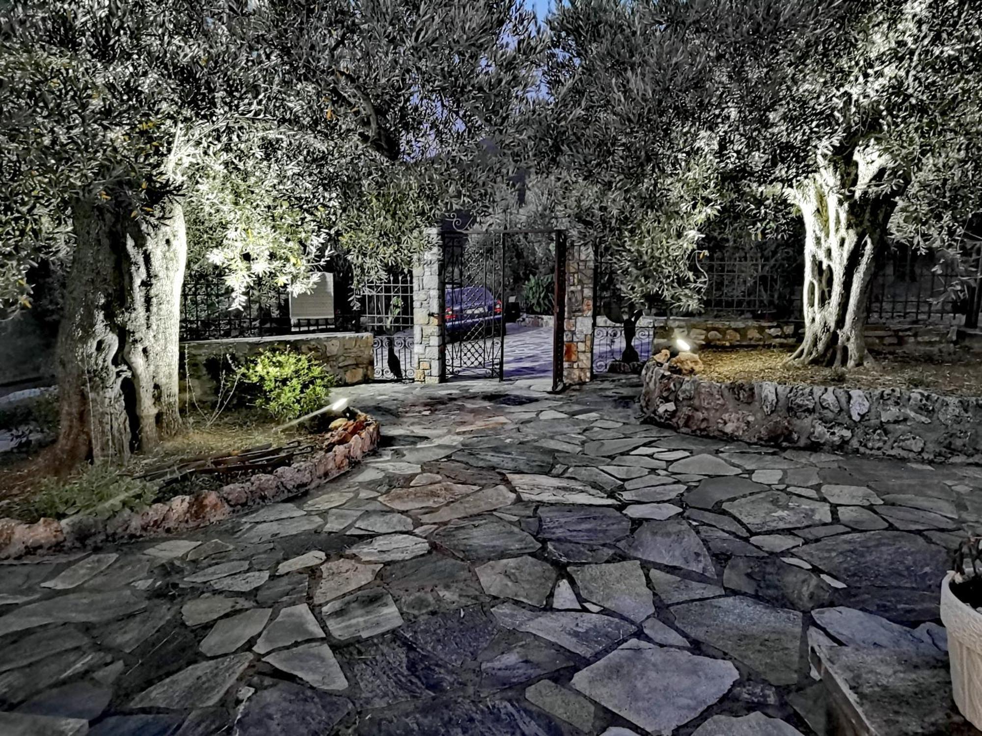 Elaion Thea-Nies Villa Sourpi Exterior photo